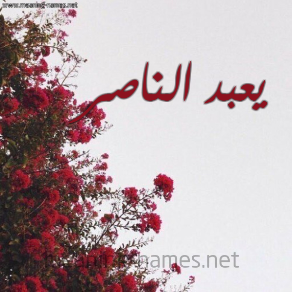 شكل 18 صوره الورد الأحمر للإسم بخط رقعة صورة اسم يعبد الناصر Abdel-Naser